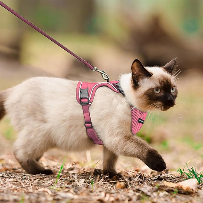 Cat Harness, Cat Harness and Leash Set, Soft and Breathable Vest with Reflective Strip, Anti Escape Adjustable Easy to Wear for Walking and Traveling, Pink, M