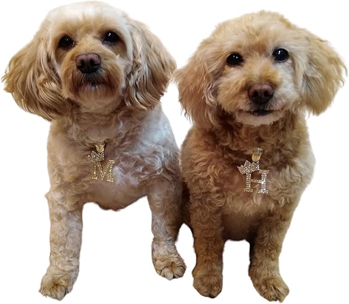 Initial Letter Cuban Chain Dog Chain Pet Chain Pet, Cat, Puppy Necklace (C, 20")