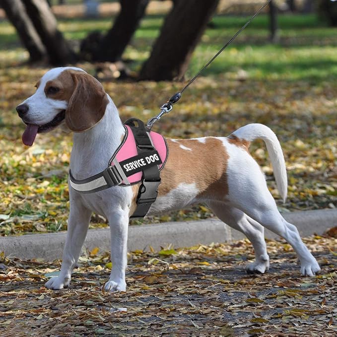 JSXD Dog Harness,No-Pull Service Dog Harness with Handle Adjustable Outdoor Pet Dog Vest 3M Reflective Nylon Material Vest for Breeds,Easy Control for Small Medium Large Dogs