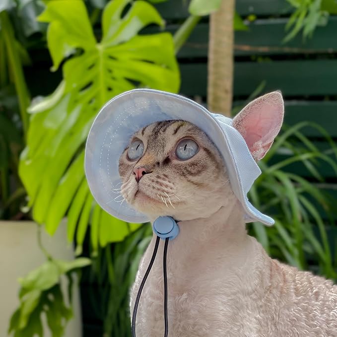 Pet hat with Ear Holes Sunscreen Baseball Cap Suitable for Small and Medium-Sized Dogs Outdoor Climbing hat in Summer Pet Products (Blue, Medium)