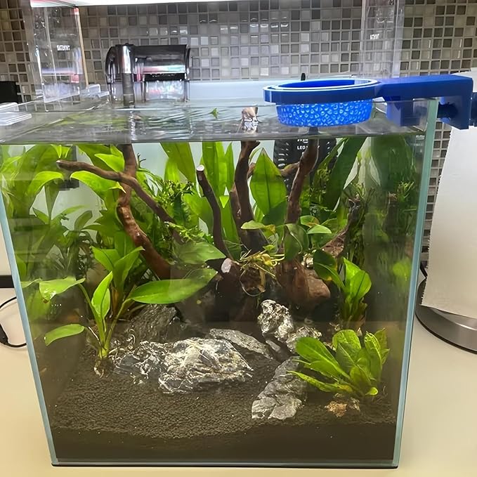 Spill-Free Aquarium Water Changer, for Rimless/Rimmed Tanks, Protects Plants & Substrate During Water Changes,Gentle Flow Design (Regular/Jumbo Size) (Jumbo Size)