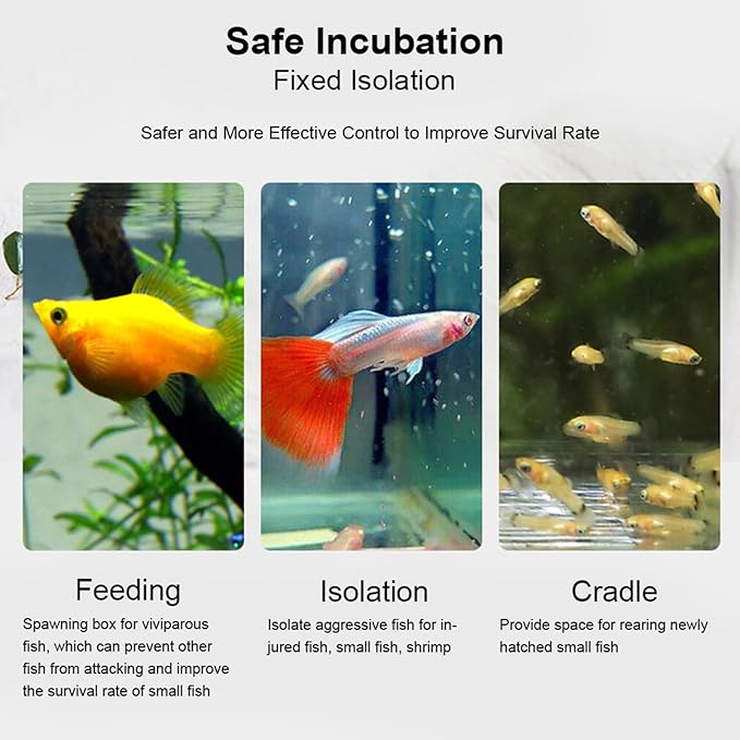 Acrylic Transparent Fish Tank Isolation Box, Aquarium Breeding Incubator Holder with Suction Cup and Hook, Adjustable Height for Tropical Fish Hatchery (30CM*10CM*10CM)