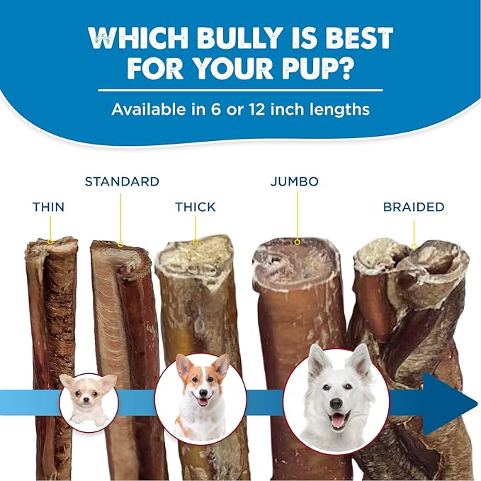 Best Bully Sticks 6 Inch Bully Sticks for Dogs - 18 Count (Pack of 1) - Natural, Easily Digestible, 100% Grass-Fed Beef, Grain and Rawhide Free