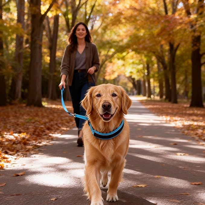 Lightweight Prong Collar for Dogs, Reflective No Pull Dog Collar | Adjustable Size Dog Pinch, Breathable Woven Fabric Air Grid Technology, Martingale Collar for Dogs Training(Blue-L)