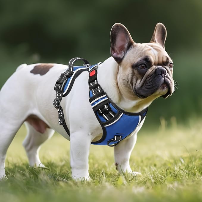 Timos Dog Harness, No Pull Dog Harness 3 Snap Buckles Adjustable Reflective No Choke Pet Vest for Small Dog with Soft Padded Control Training Handle for Outdoor Training,Lock Blue, S