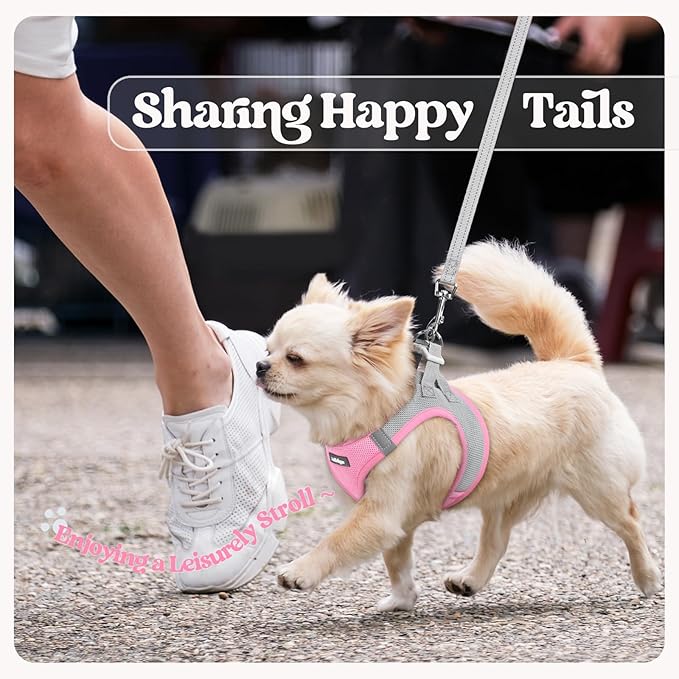 rabbitgoo Dog Harness Small Sized and Leash Set, Step in Soft Light Puppy Vest, Breathable Mesh Pet Harness, Reflective for Safe Easy Walking, Pink & Gray XXS