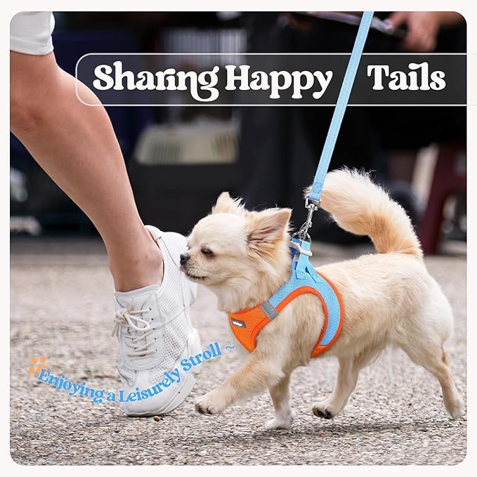 rabbitgoo Dog Harness Medium Sized and Leash Set, Step in Soft Light Puppy Vest, Breathable Mesh Pet Harness, Reflective for Safe Easy Walking, Blue & Orange XXL
