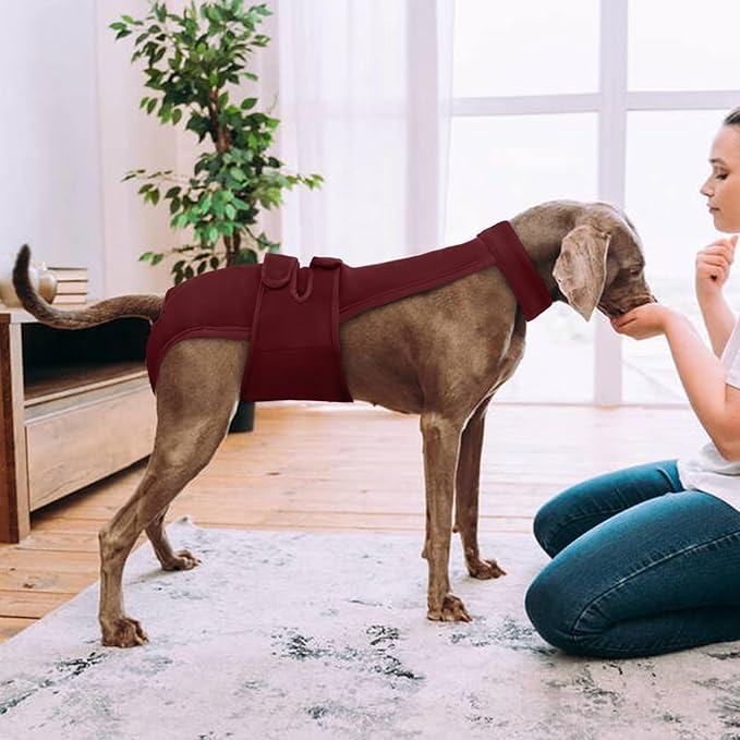 Dog Diapers Female Reusable Washable Period Diaper with Suspender,Adjustable Dog Panties Anti-Harassment, Doggie Diapers for Incontinence, Heat Cycles, or Senior Dogs（XS-XL