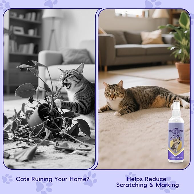 Cat Deterrent Spray - Effective Furniture & Garden Protection from Scratching & Marking