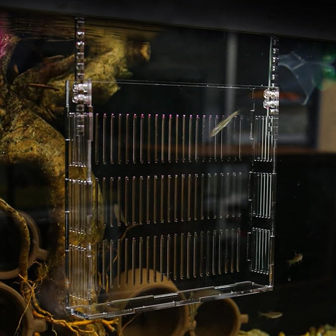 COHEALI Hanging Fish Isolation Box Acrylic Guppy Breeding Separator Aquarium Nursery Fry Tank Medium Size for Aquarium Fish and Mini Parrot Breeding