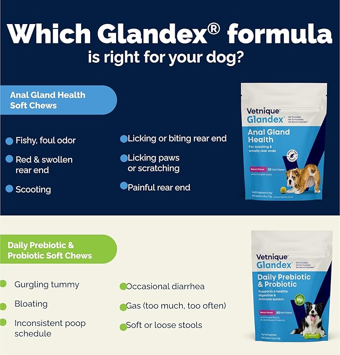 Vetnique Glandex Daily Probiotics for Dogs with Prebiotics to Support Gut Health with Fiber and Digestive Enzymes, Dog Probiotic Chews or Powders (60ct Chews, Bacon Chews)