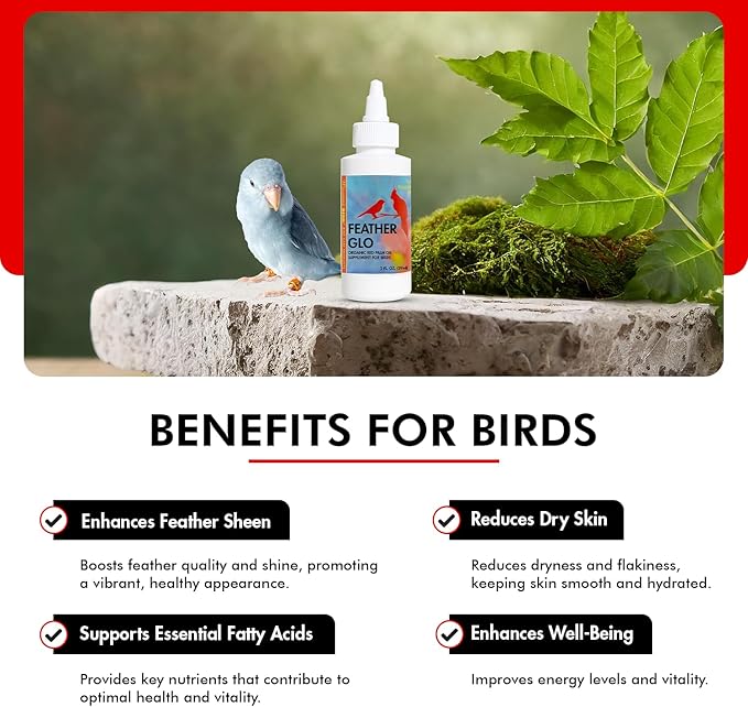 Morning Bird Feather Glo 2 oz – Cold Pressed Red Palm Oil - Natural Vitamin A & E Supplement for Birds – Supports Feather Shine, Skin Health & Immunity – Vitamin & Energy Boost for All Bird Types