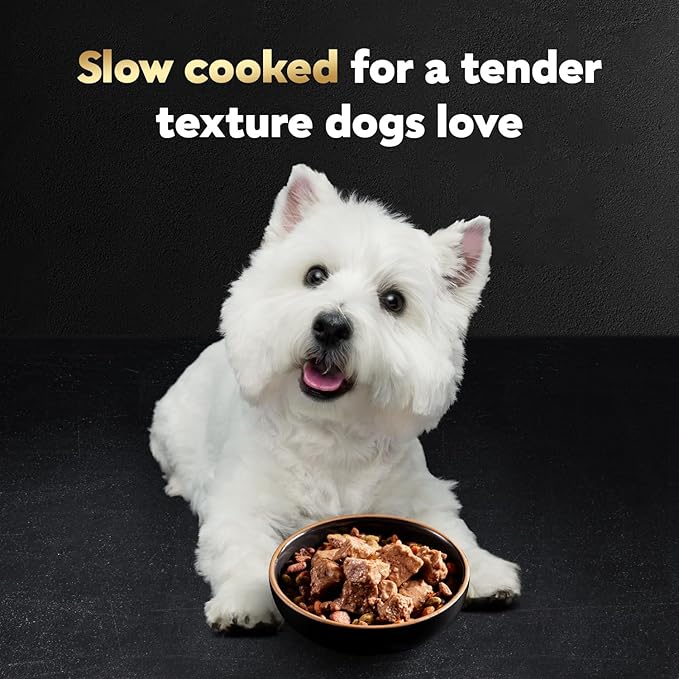 Cesar Loaf & Topper in Sauce Wet Dog Food, Filet Mignon Flavor with Bacon & Potato, Wet Food for Dogs, 3.5 oz Easy Peel Trays, 24 Count