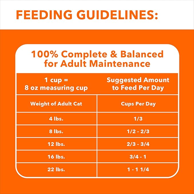 IAMS Healthy Enjoyment Dry Cat Food Chicken & Salmon Recipe, Cat Food Dry Recipe, 15 lb. Bag