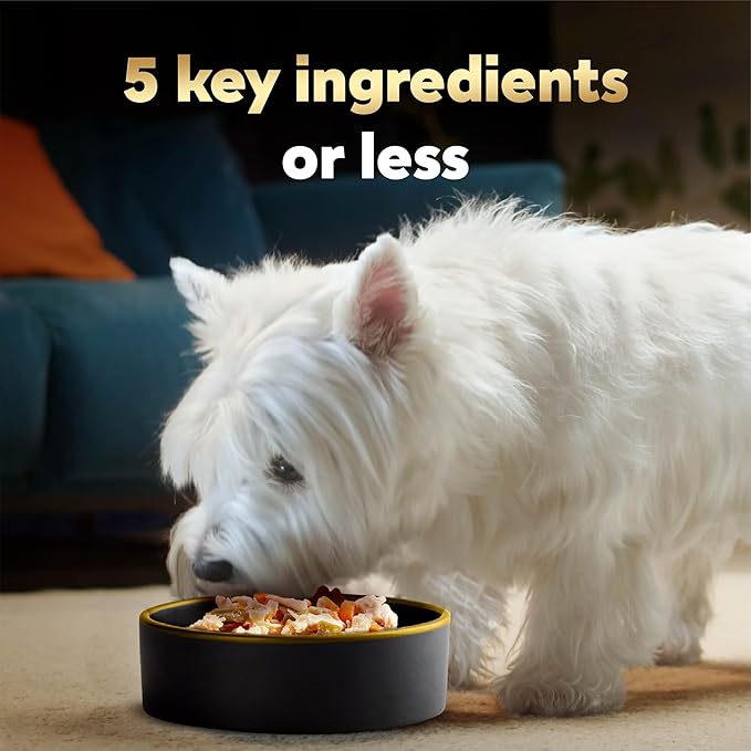 Cesar Simply Crafted Wet Dog Food Toppers for Dry Food, Chicken, Carrots, Potatoes & Peas and Chicken, Sweet Potato, Apple, Barley & Spinach Meal Topper Variety Pack, 1.3 oz. Tubs, 8 Count (Pack of 2)