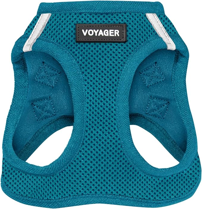 Best Pet Supplies Voyager Step-in Air Harness - All Weather Mesh, Reflective, No Pull Harness for Dogs, Cats - Secure with Hook & Loop Fastener, Buckle, Double D-Rings - Turquoise, XXXS