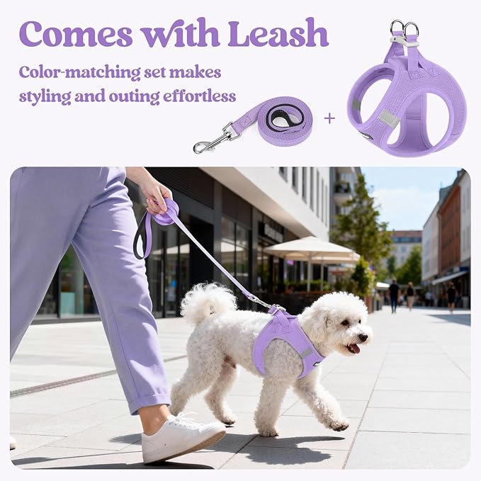 rabbitgoo Dog Harness Small Medium Sized and Leash Set, Step in Soft Light Puppy Vest, Breathable Mesh Pet Harness, Reflective for Safe Easy Walking, Light Purple L