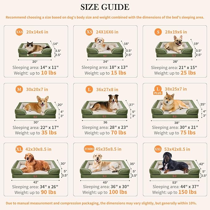Comfort Expression Orthopedic Dog Bed for Large Dogs 38x25 Inch, Waterproof Supportive Egg Crate Foam Large Pet Bed with Removable Bolster, Dog Couch with Washable Cover & Non-Slip Bottom, Light Green