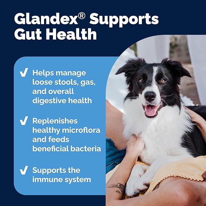 Vetnique Glandex Daily Probiotics for Dogs with Prebiotics to Support Gut Health with Fiber and Digestive Enzymes, Dog Probiotic Chews or Powders (60ct Chews, Bacon Chews)