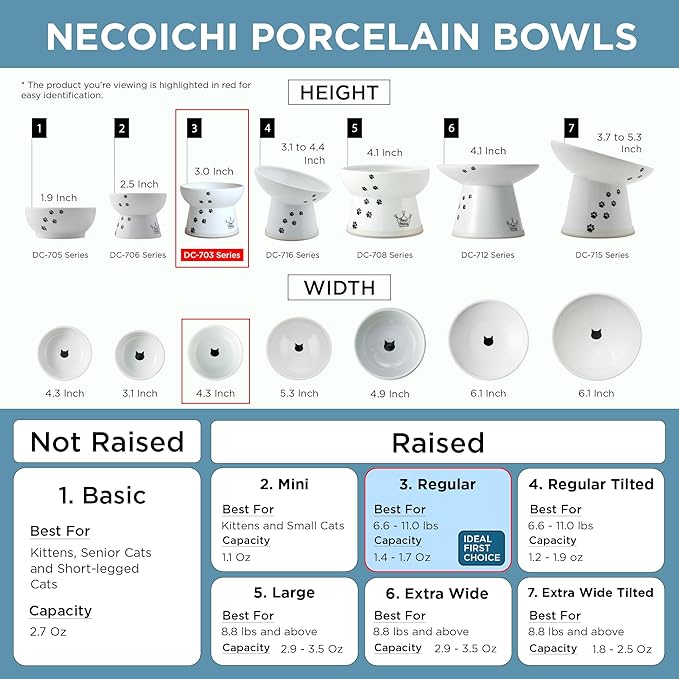 Necoichi Raised Cat Food Bowl – Ceramic Elevated Cat Bowl for Whisker & Neck Fatigue, Dishwasher Microwave Safe – Non-Slip & Anti Vomiting Ergonomic Design (Sakura Floral, Regular, 1-Cup Capacity)