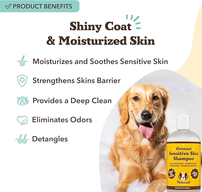 Natural Dog Company Oatmeal Shampoo for Dogs with Sensitive Skin, Ideal Anti Itch Dog Shampoo and Puppy Shampoo Oatmeal Itch Relief Dog Hypoallergenic Pet Shampoo, Deodorizing and Organic 12 oz