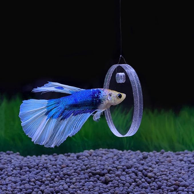 Betta Training Mirror Fish for Tank Fish Antidepressant Work Out Special for Betta Fitness Mirror Betta Toys Mirror Aquarium Decor (7cm)