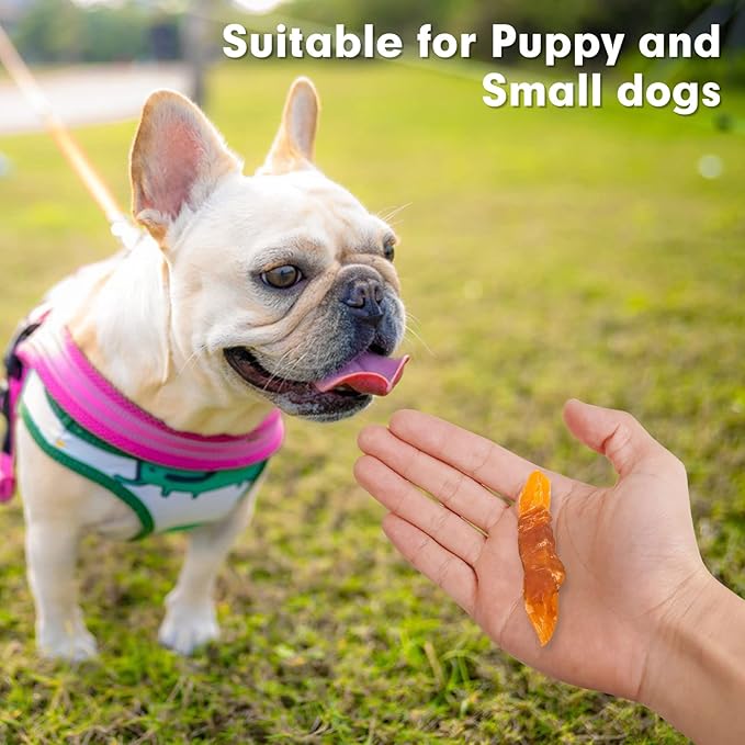 MON2SUN Dog Treats Rawhide Free Chicken Wrapped Sweet Potato Snacks, Gluten & Grain Free, Treats for Puppy and Small Dogs, (Chicken, 10 Ounce -Pack of 1)