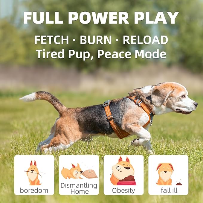 AutoDog Ball Launcher - Large Silent Dog Ball Thrower with Remote Control, 3 Adjustable Distances (40t/60ft/80ft), Rechargable,Includes 6 Durable 2.5" Balls for Medium/Large Dogs (Orange, Large)