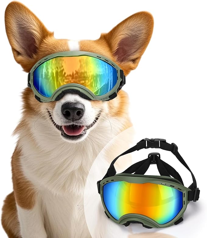 Middle Dog Goggles UV Protection, Dog Sunglasses Transparent Lens, Anti-Fog Snowproof Windproof, Suitable for Medium Dog Outdoor, for Dogs Eyes Protection, Green Box