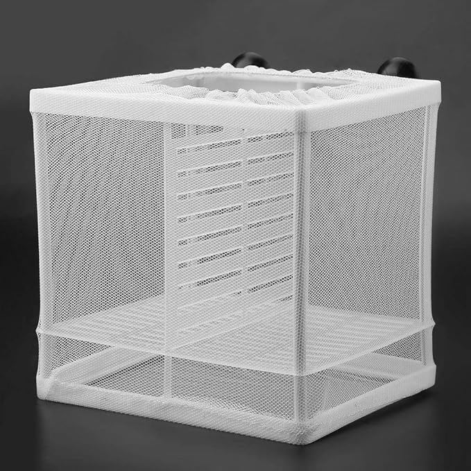 Pssopp Fish Incubator Mesh Box Aquarium Breeding Hatchery Fish Isolation Mesh Young Fish Hatchery Incubator with Isolation Board for Separate Special Fish