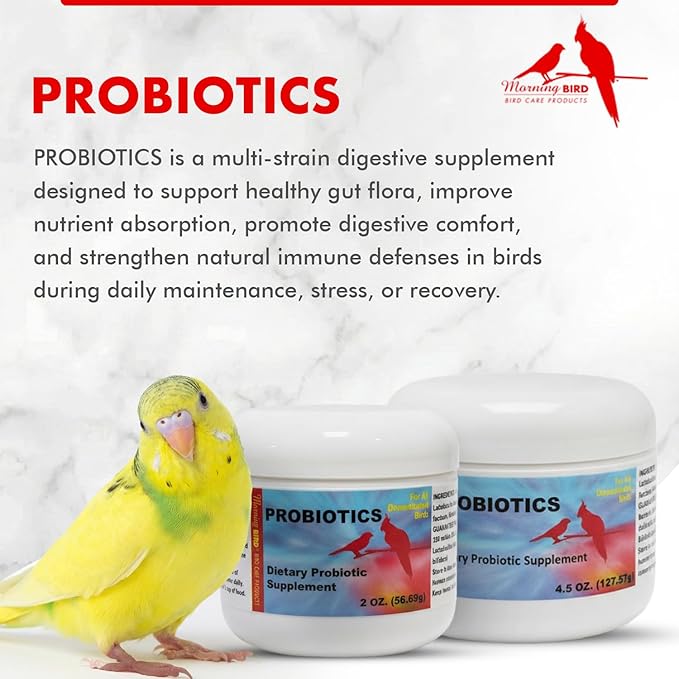 Morning Bird Probiotics for Birds 4.5 oz – Digestive Health Supplement Supporting Gut Balance, Nutrient Absorption, & Immune Support – Easy Mix Powder Supplement for All Bird Species
