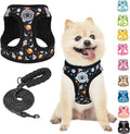 BEAUTYZOO Dog Harness Medium Sized and Leash Set, Step-in Soft Padded Mesh Puppy Vest, Reflective Dog Harness No Pull No Choke, Breathable Easy Walking Vest Harnesses for Girl Boy Pets, Black Planet M