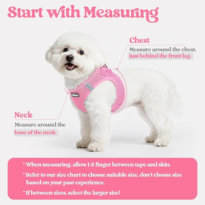 rabbitgoo Dog Harness Small Medium Sized and Leash Set, Step in Soft Light Puppy Vest, Breathable Mesh Pet Harness, Reflective for Safe Easy Walking, Light Pink L