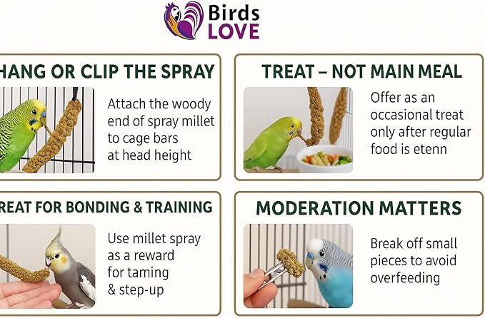 Birds LOVE 5lbs French Kissed Spray Millet for Birds – Harvested in France & Packed in The USA – 100% Natural & Sun‑Dried Millet Spray for Parakeets, Cockatiels, Conures, Parrots & Budgies