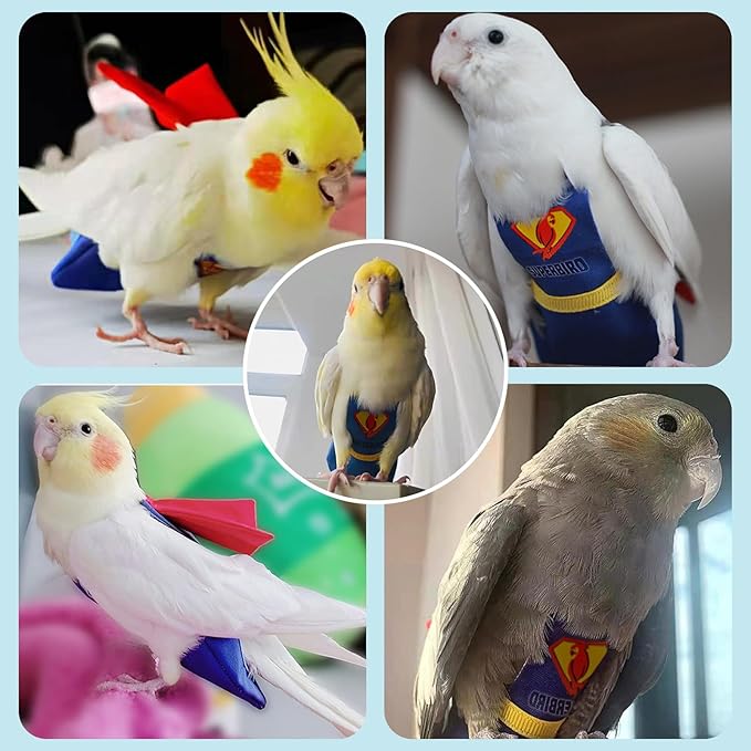 Bird Diaper Cockatiel Clothes Flight Suite, Reusable Parrot Nappy with Waterproof Inner Layer (Blue-M)