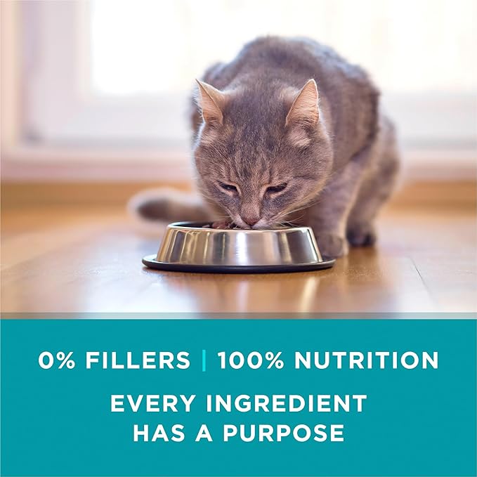 Purina ONE Natural,High Protein Cat Food Variety Pack,Turkey,Chicken and Tuna Recipes - 3 oz. Cans,(Pack of 48)