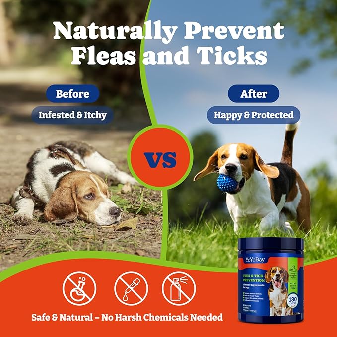 Flea and Tick Prevention for Dogs Chewable - 180 Soft Chews, Turkey & Pumpkin Flavor - Dog Flea and Tick Treatment Chewable, Natural Defense - Dog Immune Support Supplement