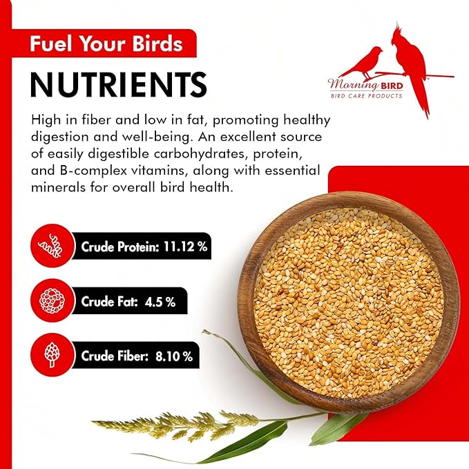 Morning Bird Golden German Millet 1.5 lbs – Natural Millet Seed for Birds – Natural Protein & Fiber Source – Easy-to-Digest Daily Nutrition for All Bird Types