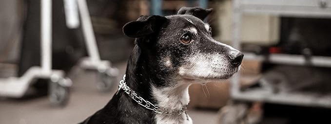 Herm Sprenger Stainless Steel Prong Dog Training Collar with Swivel Ultra-Plus Pet Pinch Collar No-Pull Collar for Dogs Made in Germany 3.2mm x 23in Medium