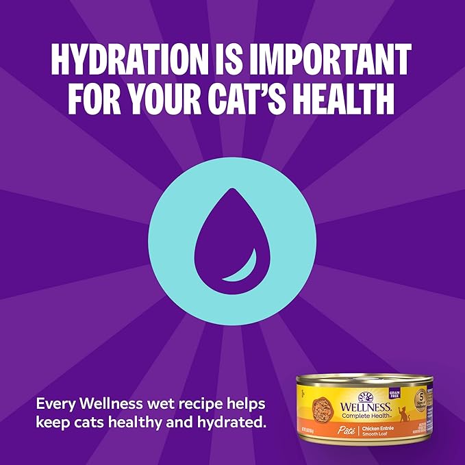 Wellness Complete Health Pate Adult Wet Cat Food, Natural, Protein-Rich, Grain Free, 3 Ounce, 24 Pack, (Beef & Salmon)