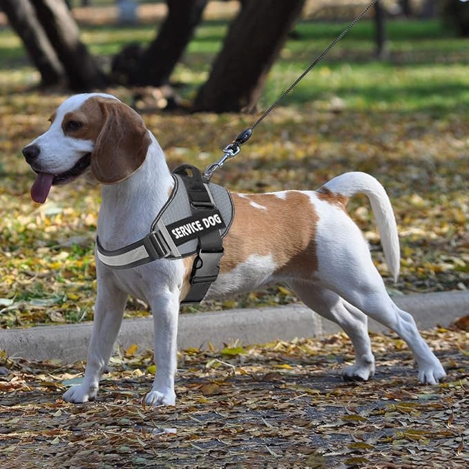 JSXD Dog Harness,No-Pull Service Dog Harness with Handle Adjustable Outdoor Pet Dog Vest 9M Reflective Nylon Material Vest for Breeds,Easy Control for Small Medium Large Dogs