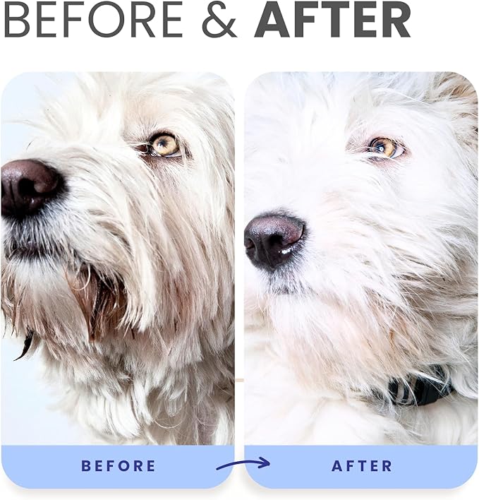 Lillian Ruff PRO Formula Blueberry Waterless Dog Shampoo & Berry Blue Brightening Conditioner - No-Rinse Odor Eliminator & Hydrating Whitening Conditioner Detangles, Restores Skin, Softness & Shine
