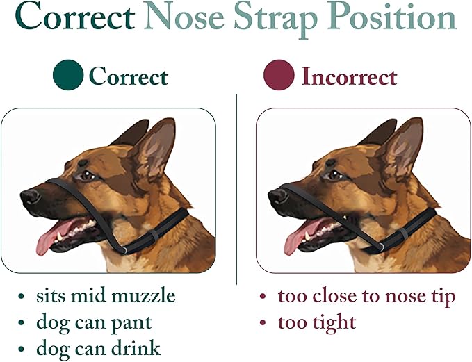 Sporn Medium Dog Head Halter for Dogs, Black Dog Stop Pulling Leash with Thick Muzzle Harness No Pull Head Collar for Dogs, Anti Pulling Collar for Comfort Face Harness
