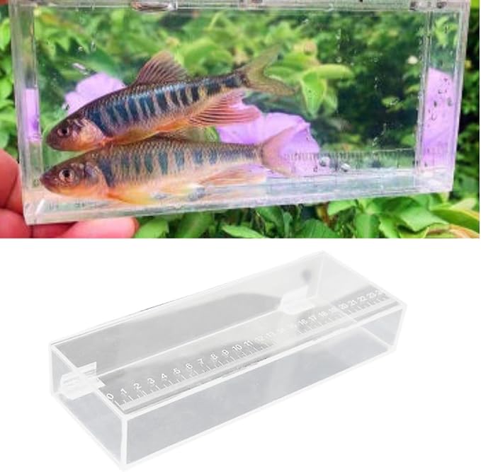 Fish Breeding Tanks Fish Isolation Box Acrylic Hatchery Incubator Portable Case Aquarium Fish Viewing Box Fishing Photo Box, 25x4.4x9cm