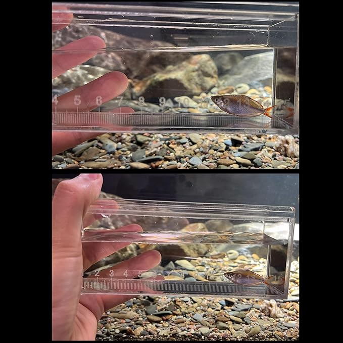 Multipurpose Acrylic Fish Isolation Box for Small Breeding and Observing Clear Breeding Tanks for Home Use Fish Isolation Box
