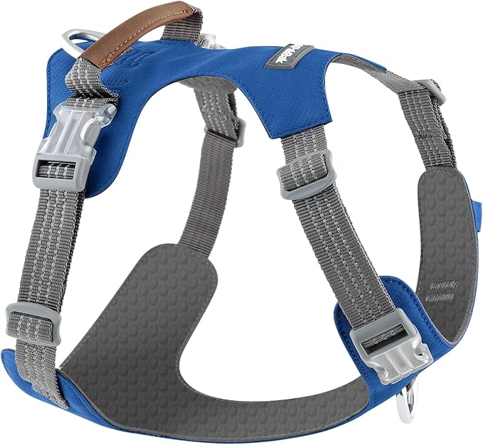No Pull Dog Harness – Adjustable Reflective Nylon Vest for Small Medium Large Dogs, Escape Proof Training Harness with Leather Control Handle, Lightweight Aluminum Hardware (Royal Blue, L)
