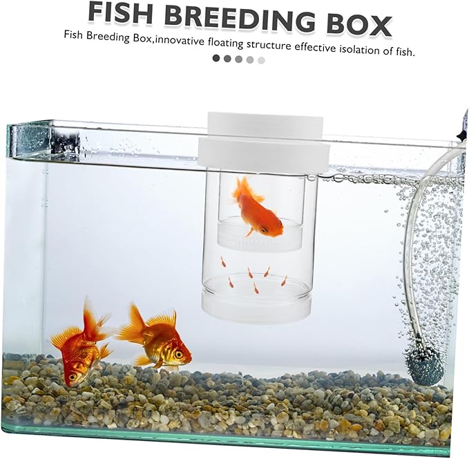 UPKOCH 1 Set Fish Breeding Box: Floating Fish Isolation Box for Aquarium - Breeding and Hatching Incubator for Clownfish Guppy Betta Shrimp