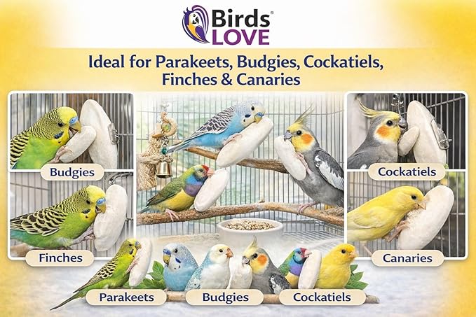 Birds LOVE 3.5-4″ Cuttlebones for Birds – 100% Natural Sun-Dried Calcium Carbonate Mineral Supplement – for Parakeets, Budgies, Cockatiels, Finches & Canaries – 4 lb with Holder – Made in Vietnam
