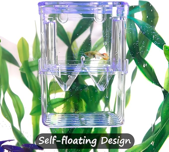 Petzilla in-Tank Aquarium Breeder Box for Fish Tank, Breeding Incubator for Small Fish Hatchery, Acrylic Divider for Shrimp Clownfish Aggressive Injured Fish (Large)