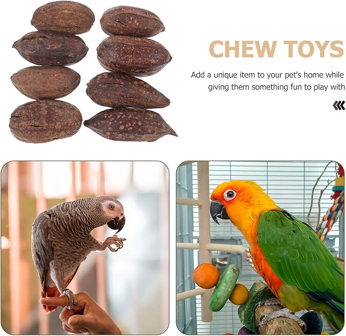 8pcs Natural Dried Fruit Bird Chewing for Parakeet Cockatiel Budgie Parrot Biting Treats Healthy Cage Accessories to Reduce Loneliness and Provide Fun Enrichment